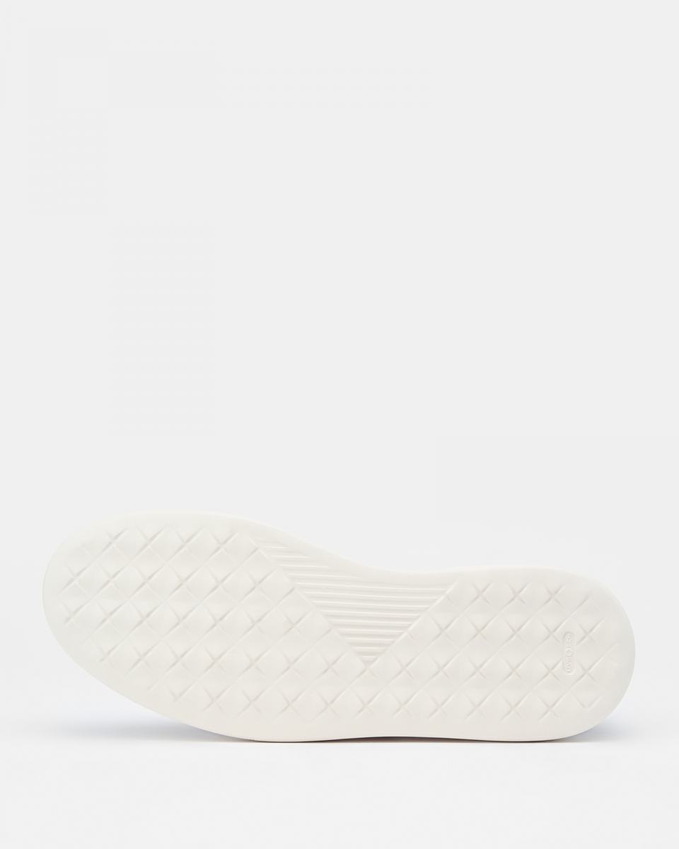 Sneakers Principe di Bologna 4