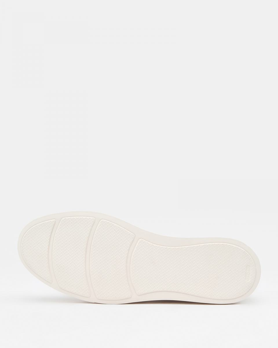 Sneakers Principe di Bologna 4