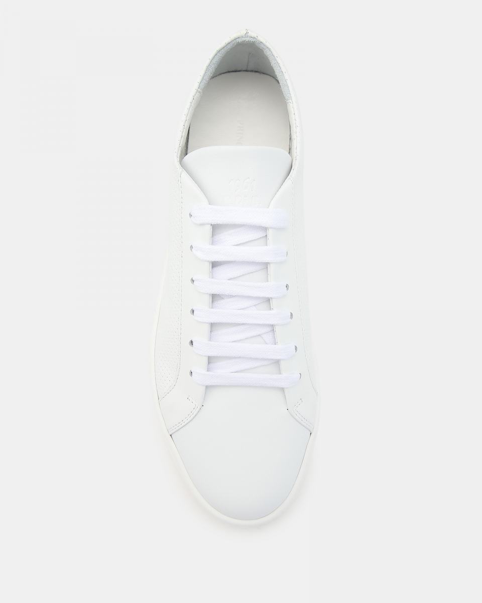 Sneakers Principe di Bologna 5