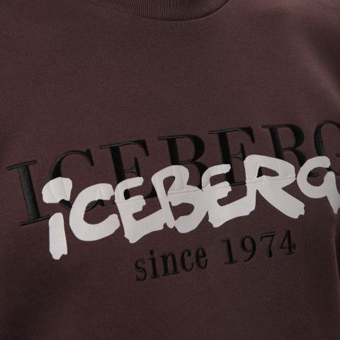 Толстовка  Iceberg фото