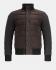 Jacket Principe di Bologna d_thumb 1